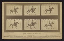 The Horse in Motion.  "Mahomet," owned by Leland Stanford: cantering at an 8 minute gait over the Palo Alto track, 17th June, 1878.